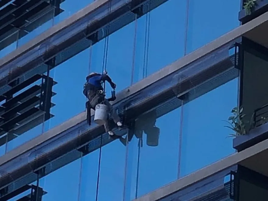 Professional Window Cleaning featured image